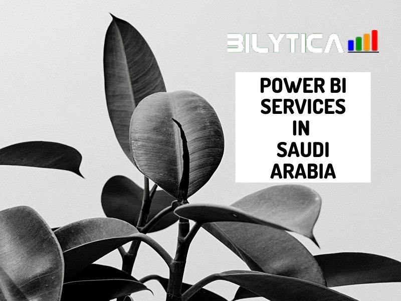 What are the advantages of using Power BI Services in Saudi Arabia?